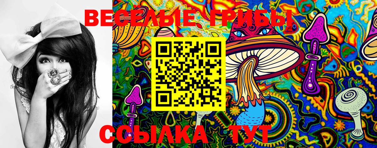 Псилоцибиновые грибы ЛСД Шахты